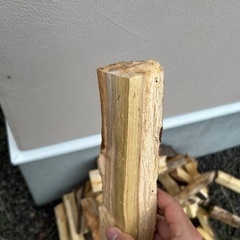 乾かした薪の画像