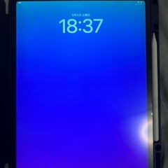 iPad Pro第3世代12.9インチ256GB