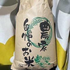 【引渡し決定】10kg 100% あきたこまち 玄米