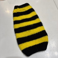 ワンちゃん お洋服 大きめM位の画像