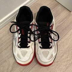 【24.0㎝】MIZUNO ミズノ テニスシューズ オールコート用　の画像