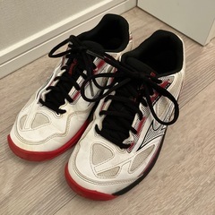 【24.0㎝】MIZUNO ミズノ テニスシューズ オールコート用　