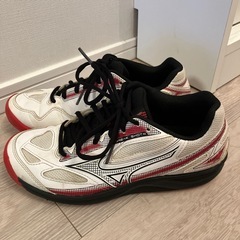 【24.0㎝】MIZUNO ミズノ テニスシューズ オールコート用　の画像