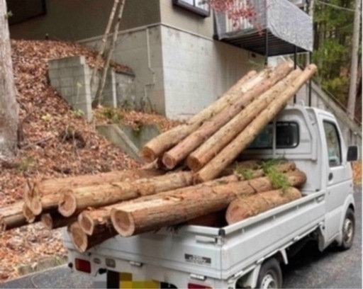 丸太，格安でお譲りします。