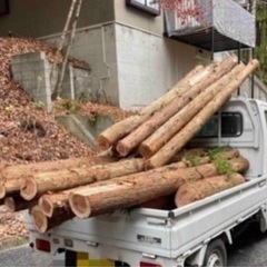 丸太，格安でお譲りします。