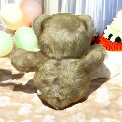 hirokun house テディベア ぬいぐるみの画像