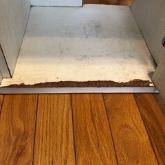 GEX60cm水槽台・キャビネット ホワイト 2扉の画像