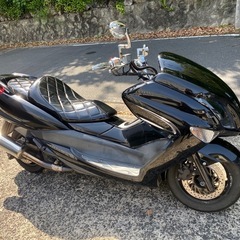 マジェスティ250-4型⭐️綺麗です❣️すぐ乗れます❣️
