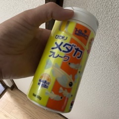 メダカの餌