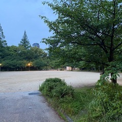 良い気温なので靱公園をウォーキングしましょう🚶