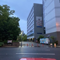 良い気温なので靱公園をウォーキングしましょう🚶 - 大阪市