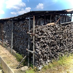 薪（杉） 1立米（立方メートル）よりいっぱいですの画像