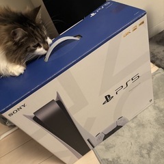 PlayStation5