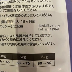 【計4kg】期限26/09 エルモ ELMO キャットフード 成猫用 インドアの画像