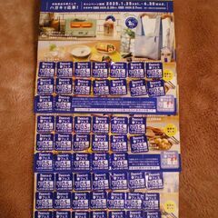 🍞 2025 Pascoの春フェス 0.5点シール 多数 🍞