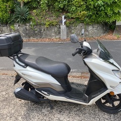 バーグマン125⭐️最新型⭐️すぐ乗れます❣️