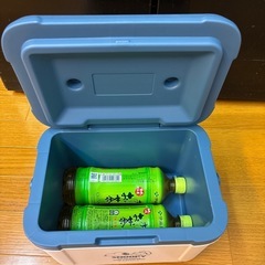 スヌーピー　クーラーボックスの画像