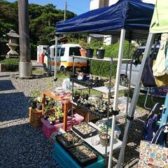 ネオゲです　5月18日彦根護国神社での　ひこねで朝市　に出店します