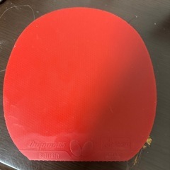 卓球ディグニクスラバーの画像