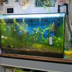 お掃除