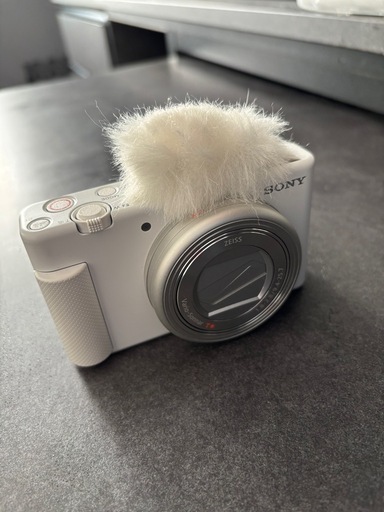 ソニー SONY ZV-1 写真のもののみ