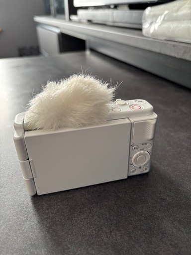 ソニー SONY ZV-1 写真のもののみ