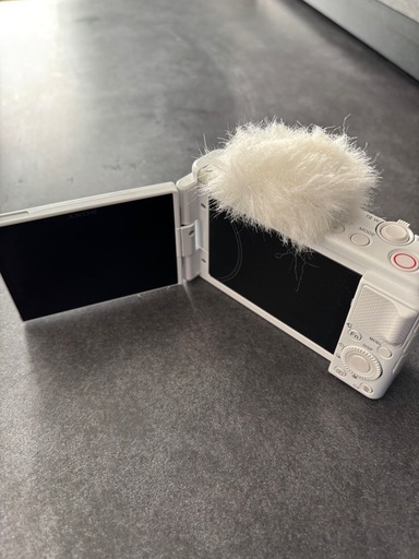 ソニー SONY ZV-1 写真のもののみ
