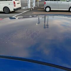 トヨタ　セリカ　限定車の画像
