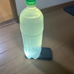 ゾウリムシ1.5Ｌ