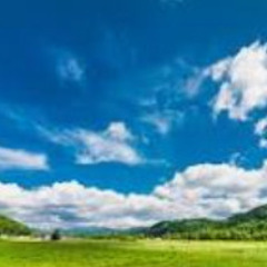 エゴグラム診断