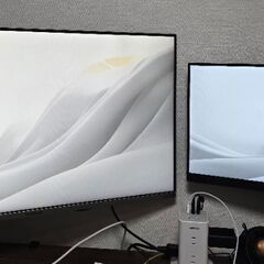 (写真左)31.5inch モニター+アーム