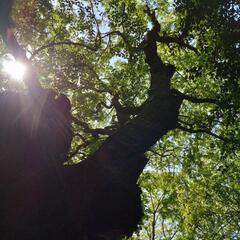 自分のために何かを学びたいと思っている方