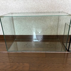水槽　3点　　備品
の画像