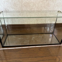 水槽　3点　　備品
の画像