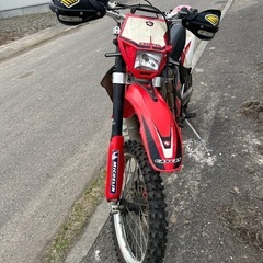 Gas Gas  ec250  の画像