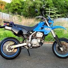カワサキdトラッカー250 LX250 d tracker登録書...