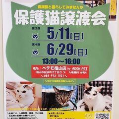 5月11日に福山で譲渡会