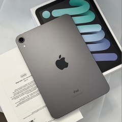 ipadmini6 Applepencil第2世代