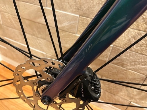 TREK emoda SL5 52サイズ（カンパホイール、パワメ付）