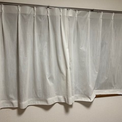 カーテン　レース
