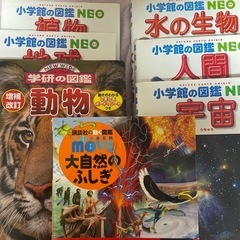 【新宿駅でのお取引可】図鑑  まとめ売り