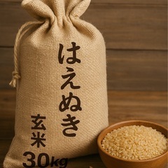 令和6年はえぬき　30キロ値下げ交渉あればどうぞ