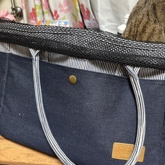 ペット用キャリーバッグ