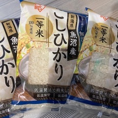 令和6年産　新潟こしひかり　無洗米　300g×3袋