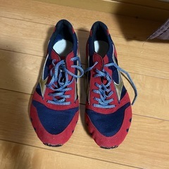 陸上スパイク25.5センチ