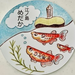 【江の島めだか】4日、5日めだか無人販売