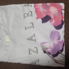Tシャツ、タンクトップ
