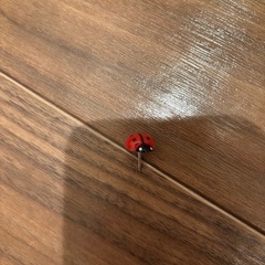 画鋲　花瓶の画像