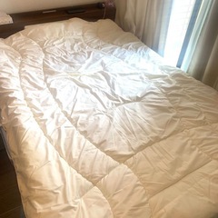掛け布団　シングル　新品✨