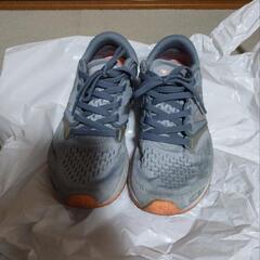 NIKE ﾆｭｰﾊﾞﾗﾝｽ 23.5